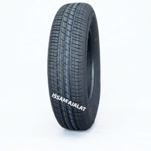 DOUBLEKING DK106 155/80R13 79S